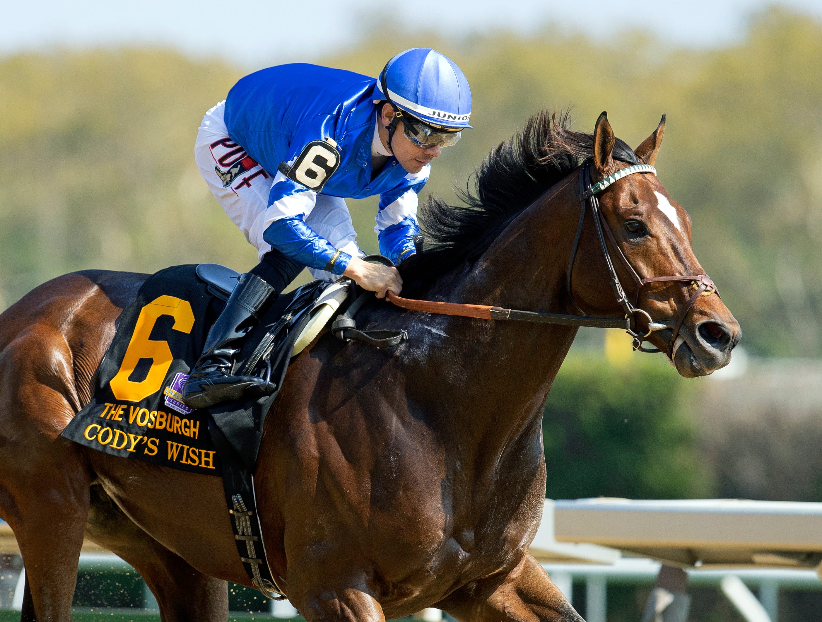 Cody's Wish, Zandon heading to Breeders' Cup after prep wins